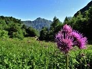 CORNA GRANDE (2089 m) ai Piani di Bobbio da Ceresola di Valtorta il 10 luglio 2021- FOTOGALLERY